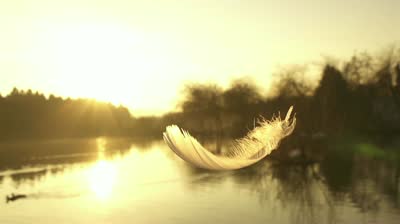 Pursuing Movement ~ Taking One Step At A Time
